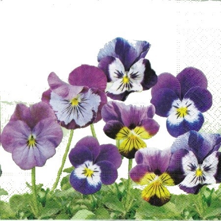 3b