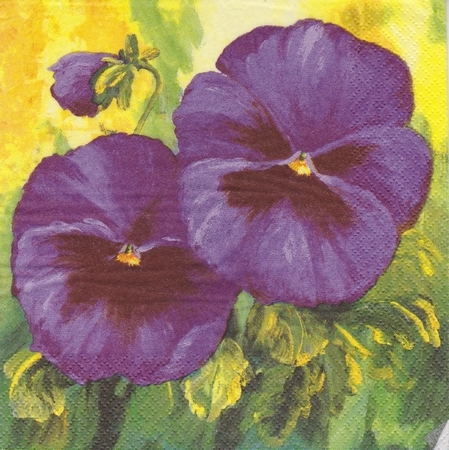 5a