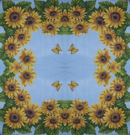 2a